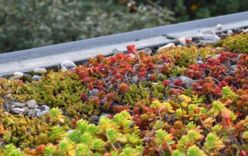 the cost of Birdwell green roof installation