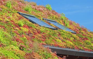 Birdwell living roof systems