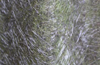 Birdwell fibreglass roof work